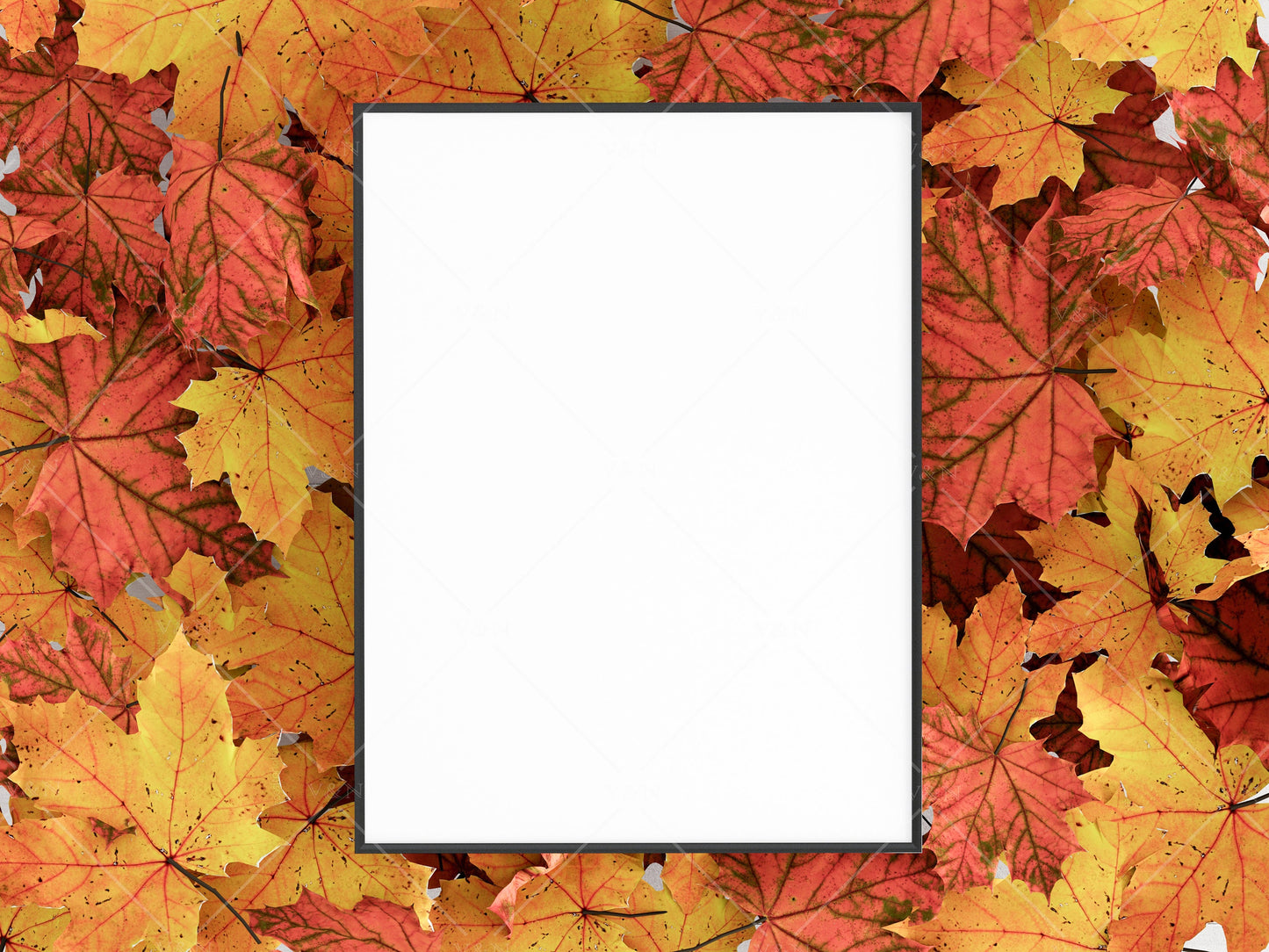 Halloween Frame Mockup 3:4 ratio, Fall Minimalist Frame Mockup, Vertical Black Frame Mockup, Portrait Frame Mockup Halloween, PSD JPG PNG