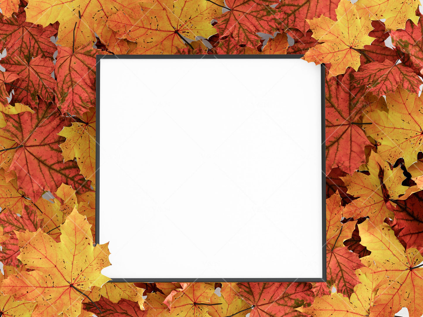 Halloween Frame Mockup 1:1 ratio, Fall Minimalist Frame Mockup, Square Black Frame Mockup, Square Frame Mockup Halloween, PSD JPG PNG