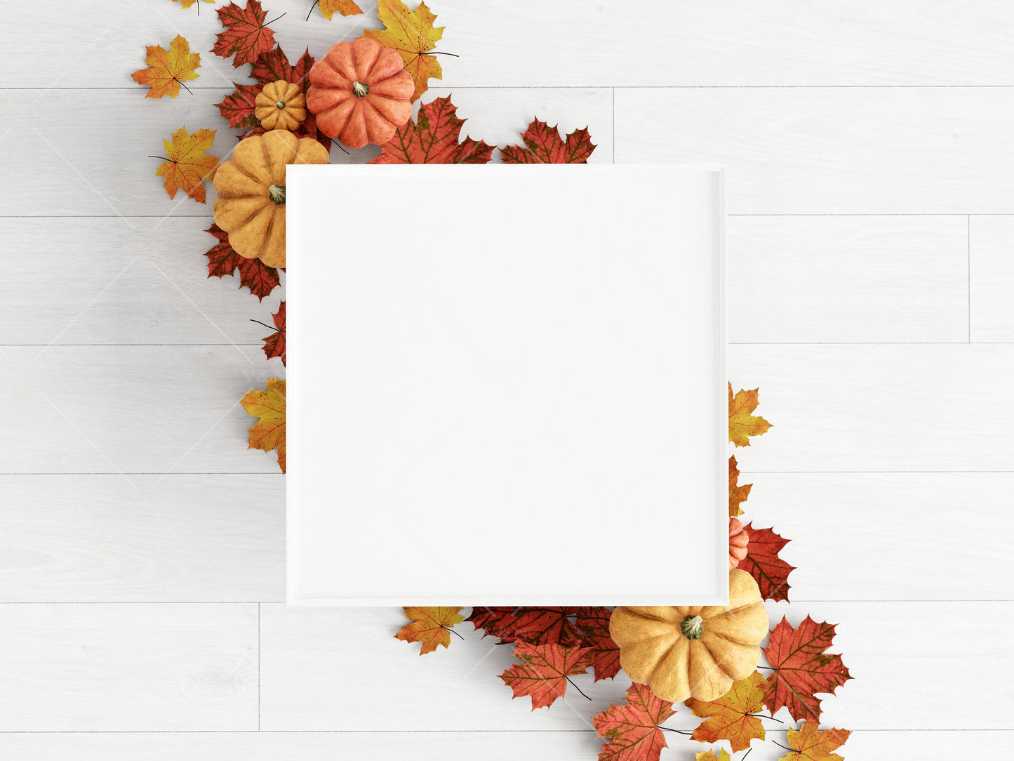 Halloween Frame Mockup 1:1 ratio, Fall Minimalist Frame Mockup, Square White Frame Mockup, Square Frame Mockup Halloween, PSD JPG PNG