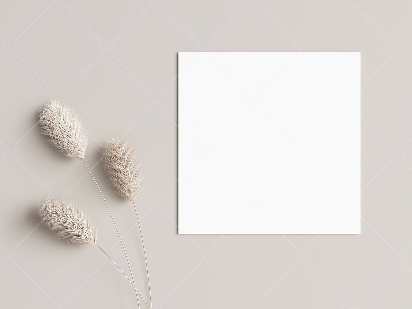 Square Card Mockup, Invitation Mockup, Greeting Card Mockup